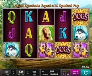 Dogs Slots Online