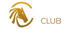 VIP Arab Club