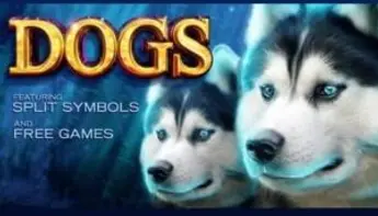 لعبة سلوتس اون لاين Dog Slots