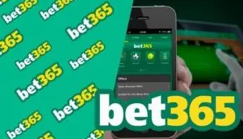 أهم 5 أسباب نجاح موقع بيت ٣٦٥ اون لاين