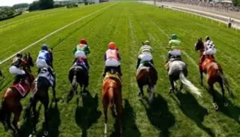 أفضل ثلاثة أفلام حول سباق الخيول