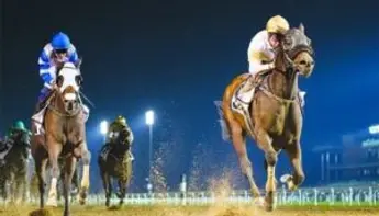 سباقات الخيل على مضمار ميدان في دُبي