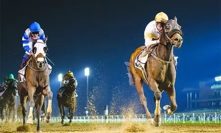 سباقات الخيل على مضمار ميدان في دُبي